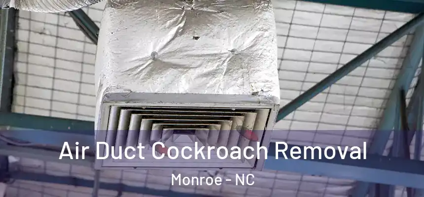 Air Duct Cockroach Removal Monroe - NC