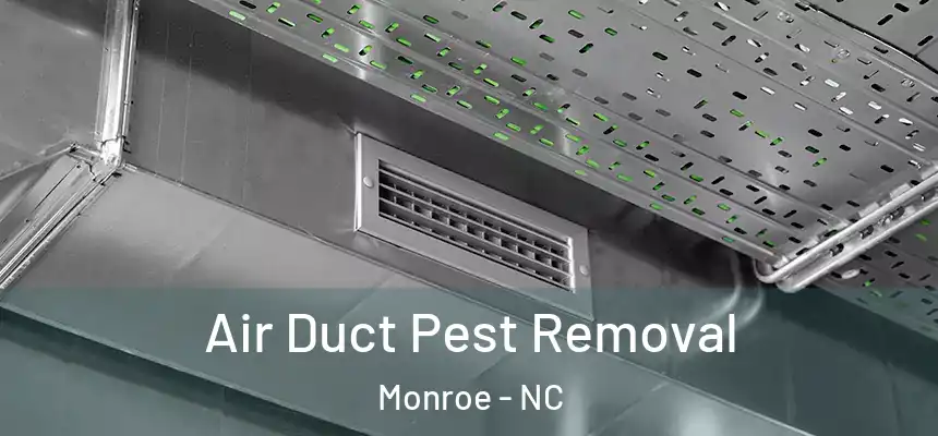 Air Duct Pest Removal Monroe - NC