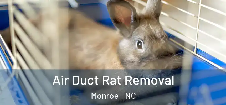  Air Duct Rat Removal Monroe - NC