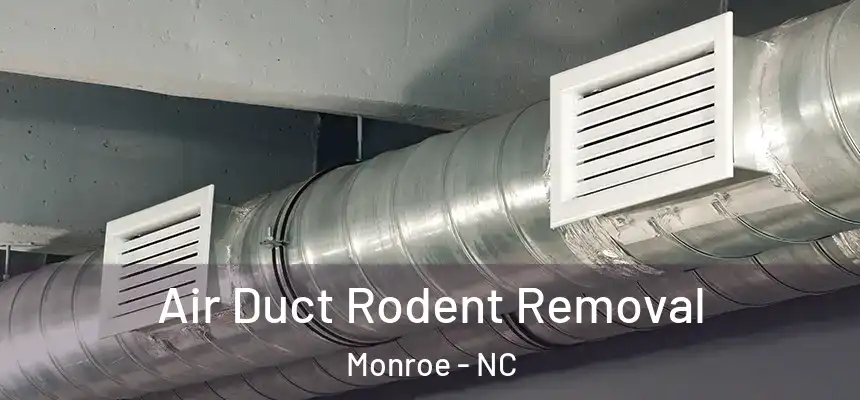  Air Duct Rodent Removal Monroe - NC