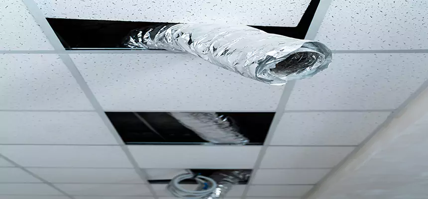 Our Air Duct Pet Hair Removal Services in Monroe, NC