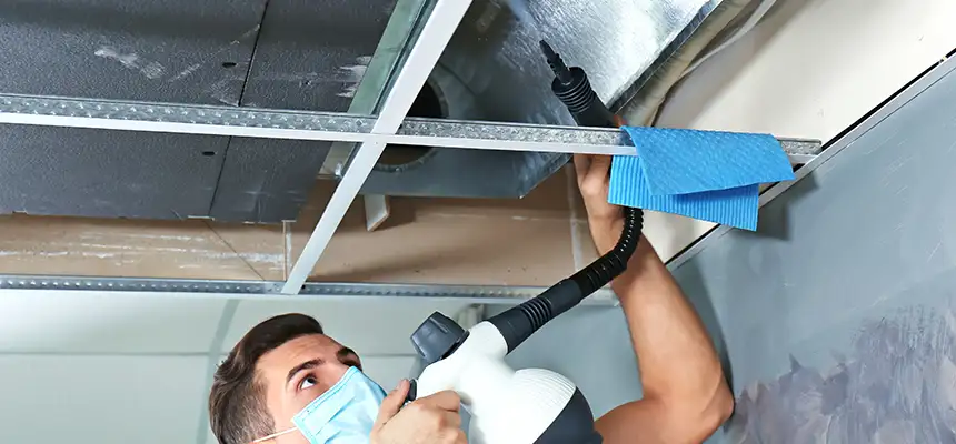 Our Air Duct Rodent Removal Services in Monroe, NC