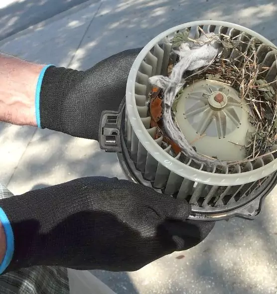 About Air Duct Mice Removal in Monroe, NC