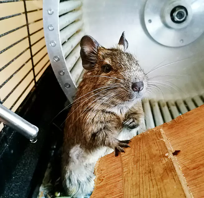 Why Homeowners & Businesses Trust Us Monroe, NC