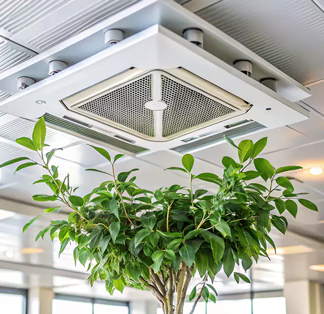 Why Homeowners & Businesses Trust Us in Monroe, NC